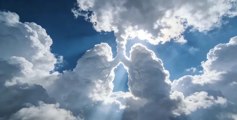 佳木斯肺癌120基因ctDNA突变检测(血液）图片1