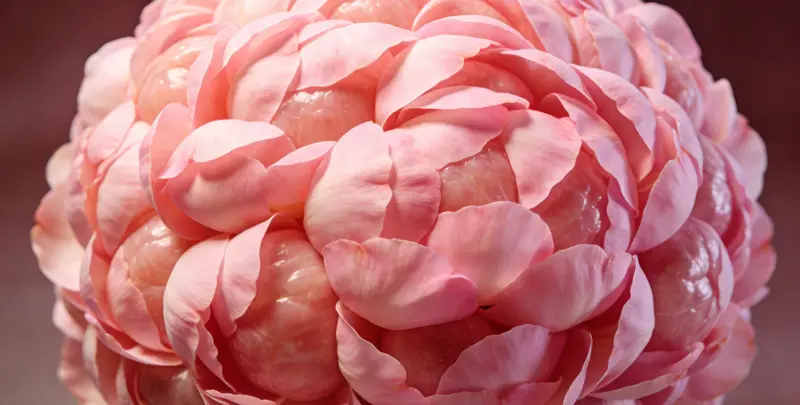 佳木斯BRCA1/2乳腺癌卵巢癌基因检测图片1